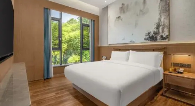 Люкс Classic Chengdu Pidu Maison New Century