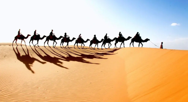 Sahara Royal Camp