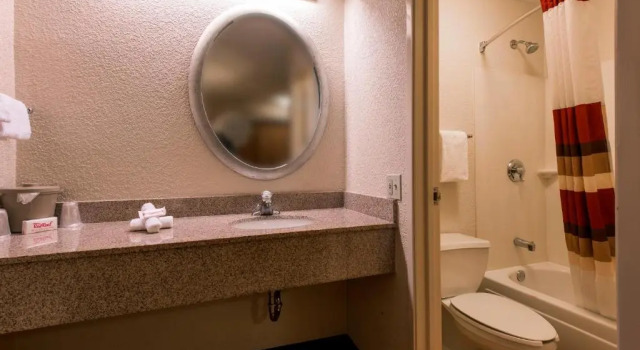 Номер Standard Red Roof Inn Detroit - Warren