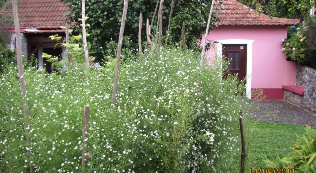 Domek wiejski 1 sypialnia Casa Rosa