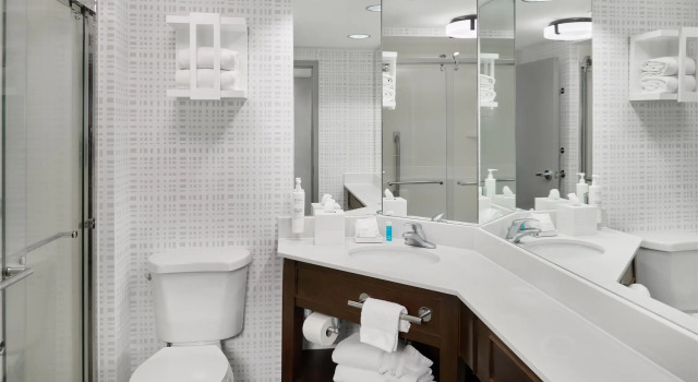 Номер Deluxe Hampton Inn Janesville