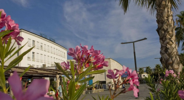 Grand Koper