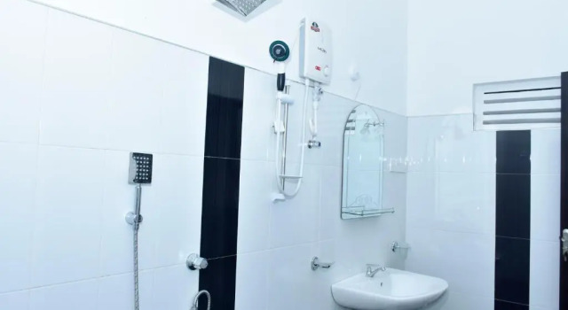 Номер Standard Baby Elephant Green House