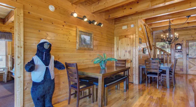 Номер Standard с балконом и с видом на горы Royal Vista Lodge