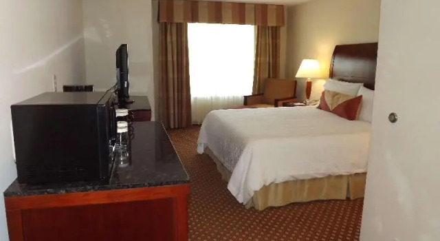 Номер Standard Hilton Garden Inn Killeen