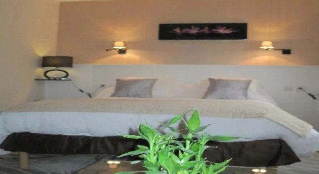 Люкс Standard Hotel Restaurant Rive Gauche