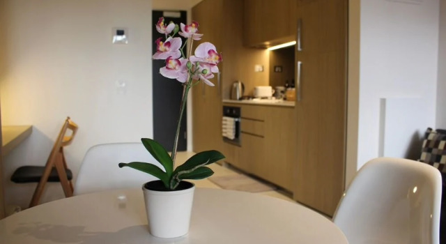 Roomerang at Fulton Lane 4