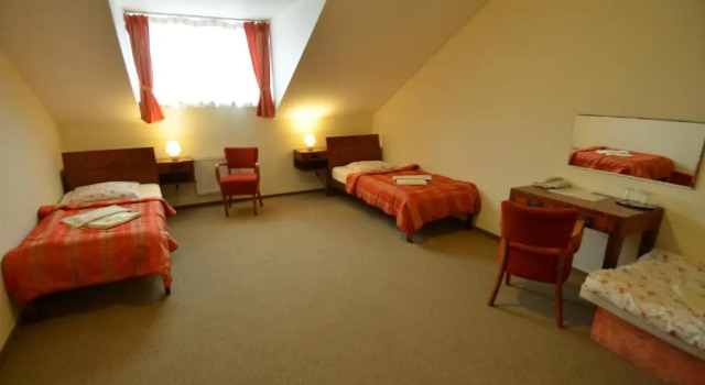 Номер Standard Hotel Vion
