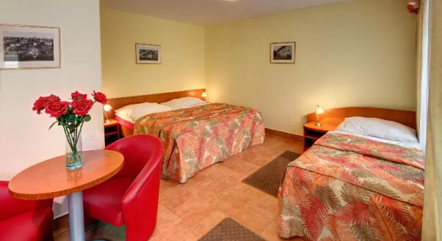 Habitación Estándar con vista a la ciudad Seifert Residence