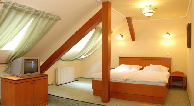 Hotel Most Slávy, Rezervovat Hotel Wellness hotely v Trenčiansky kraj, SPA