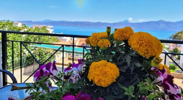 Coralli Apartment