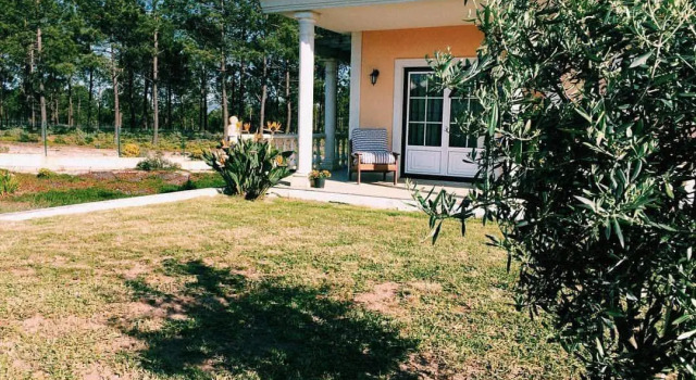 Quinta Amarela