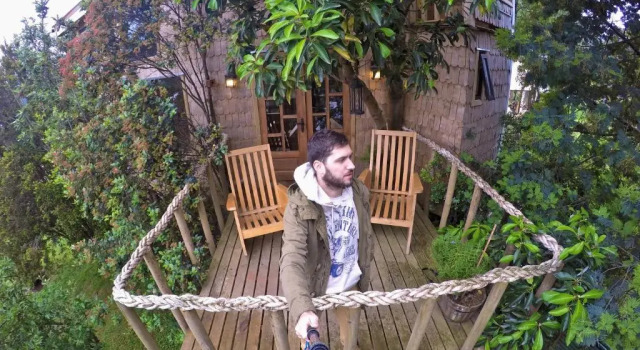 Коттедж La Casa Del Árbol De Chiloé