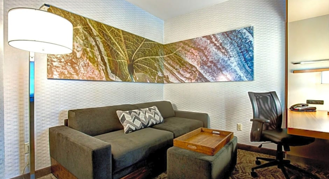 Четырёхместный люкс SpringHill Suites by Marriott Harrisburg Hershey