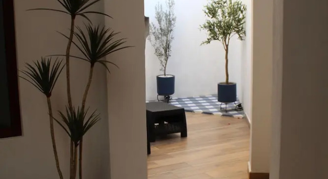 Номер Business Centrico House