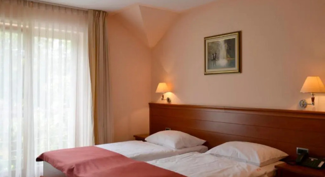 Номер Standard Hotel Mladimir