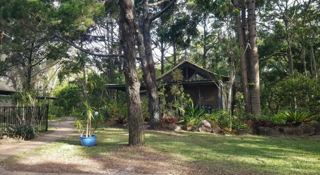 Трёхместный номер Standard c 1 комнатой Byron Bay Rainforest Resort