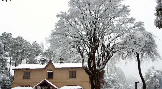 Kmvn Tourist Rest House Ranikhet Mall Road, Rezervovat Hotel Ranikhet Uttarakhand