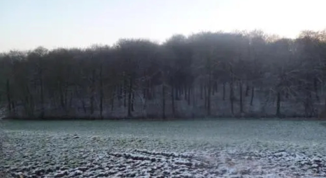 Ferme du bois des Etroits Wats