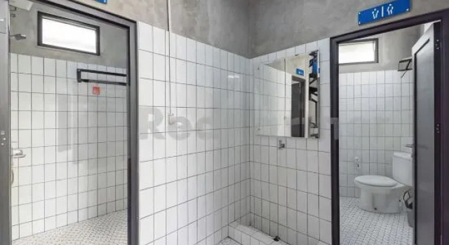 Camera Standard Liberta Living