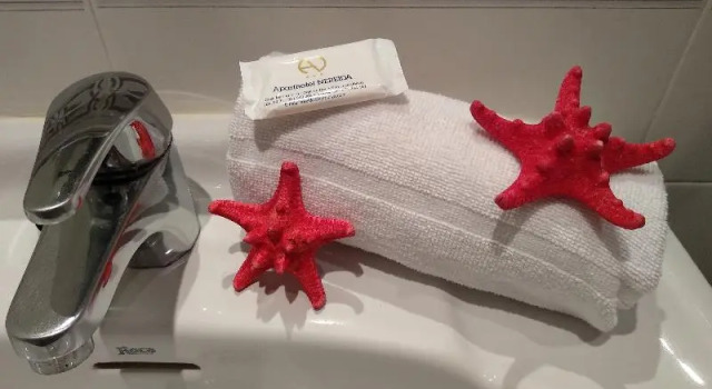 Номер Standard Aparthotel Nereida