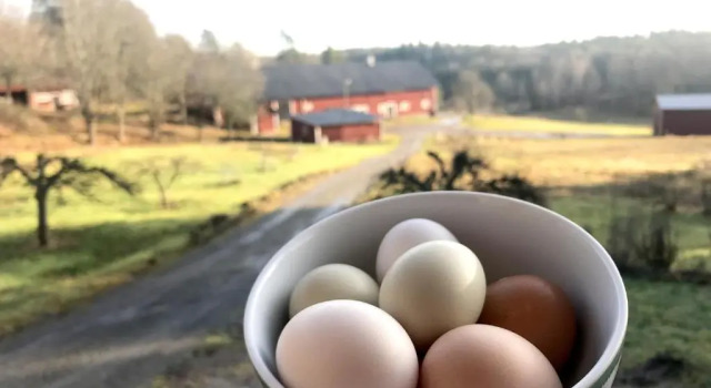 18th century farm cottage, Book Farm Stay  