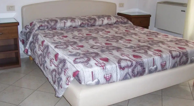 Hotel Venca'