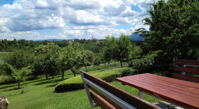 Апартаменты Guest House Kolić