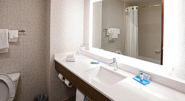Четырёхместный люкс Holiday Inn Express & Suites Knoxville-Farragut by IHG