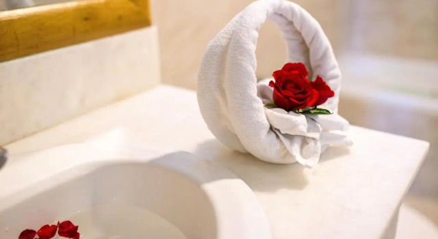 Двухместный номер Superior Lunar Hotel Danang