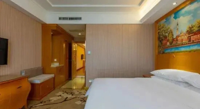 Люкс Deluxe Vienna Hotel (Wuhan Moshui Lake)