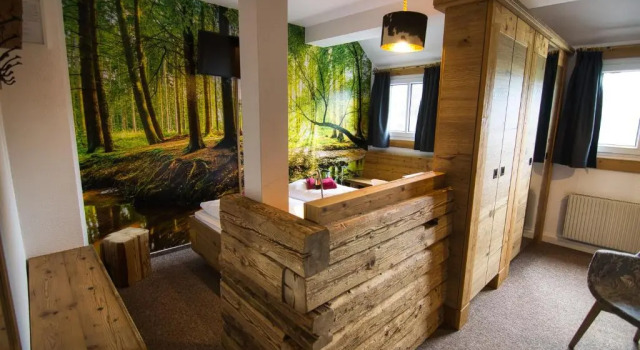Люкс Berghotel Bärenstein