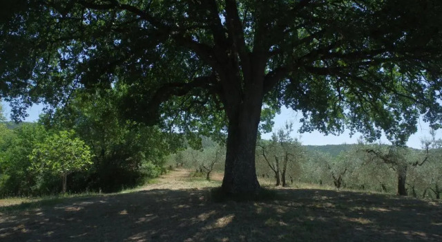 Monolocale Borgo Buciardella