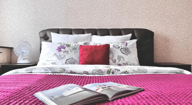Apartments on Linden Alley Street, Book Apartment Kaliningrad Kaliningrad Region