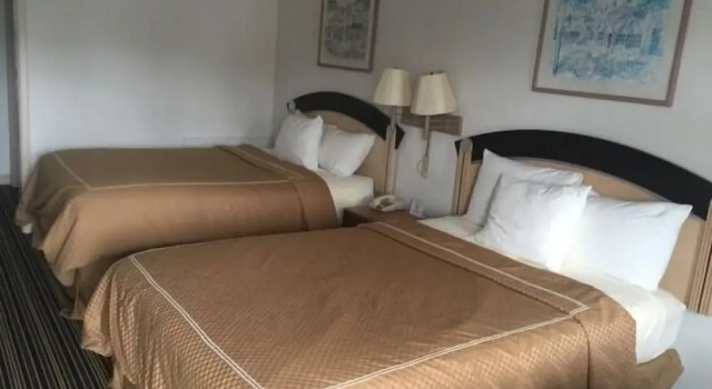Standard- firedobbelt værelse Scottish Inn and Suites Perry