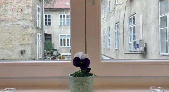 Студия Deluxe Studio apartment in center of Zagreb "Vidra"
