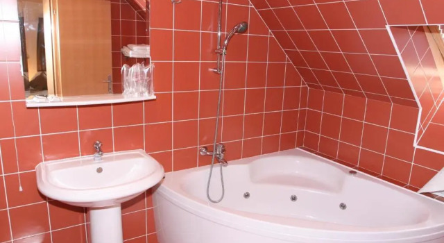 Номер Comfort Hotel Istra