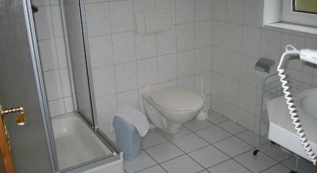 Двухместный номер Standard Landhotel Alte Aue