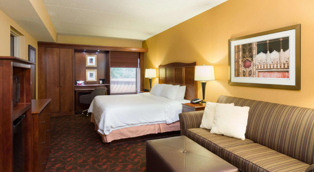 Двухместный люкс Hotel Carlisle