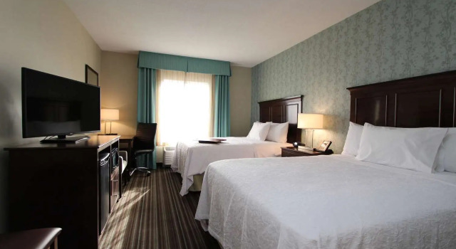 Номер Standard Hampton Inn & Suites by Hilton St. Johns Airport