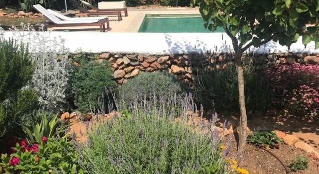 Sa Cantina, Prenota Hotel Sant Josep de sa Talaia. Ibiza