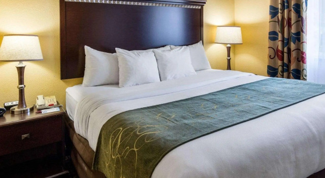 Люкс c 1 комнатой Comfort Suites Nacogdoches