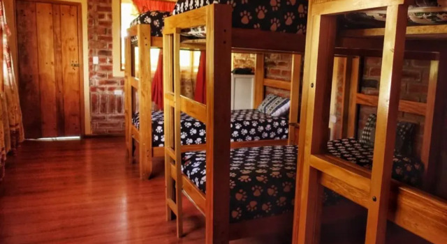 Кровать в общем номере Hostal el Vaquero