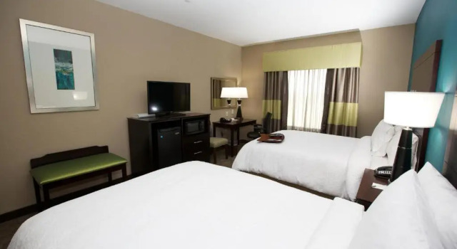 Четырёхместный номер Standard Hampton Inn and Suites Missouri City
