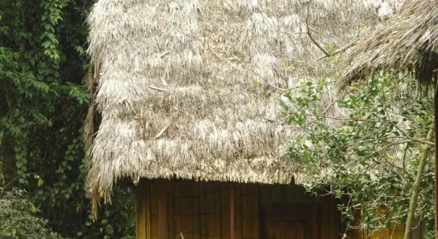 Yarina Eco Lodge, Book Vacation Home Hotels in Amazonas with Breakfast, Breakfasts