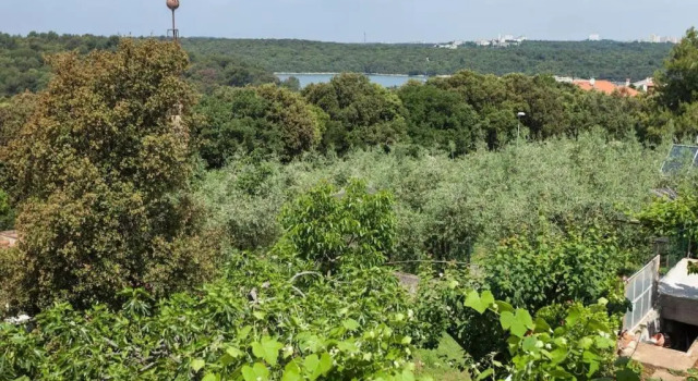 Apartamento Studio-apartman Giovanina