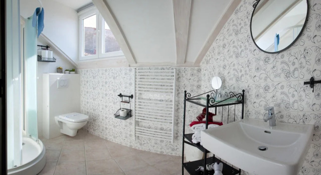 Номер Superior Bed & Breakfast Vila Baguc