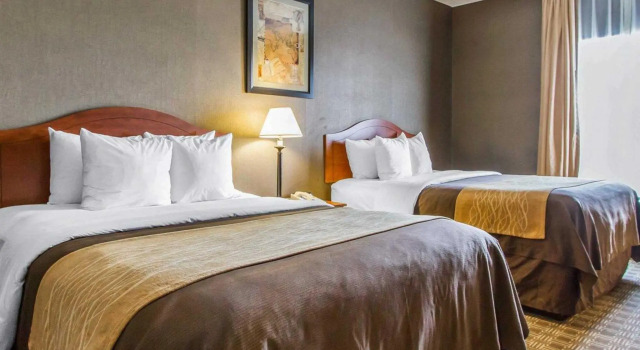 Четырёхместный номер Standard Quality Inn & Suites Benton - Draffenville