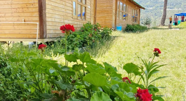 Golden Valley Cottages, Забронировать Отель Отели штата Химачал-Прадеш 3 звезды, 3*