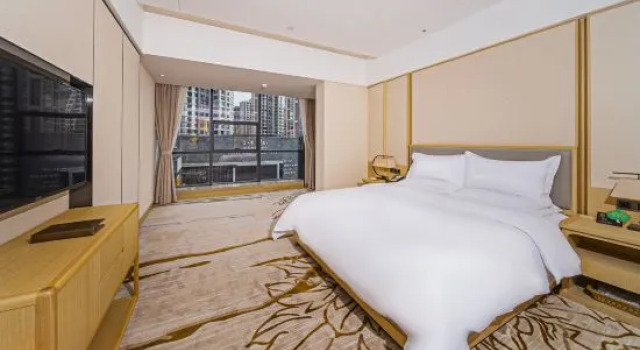 Люкс Deluxe Xinlei Hot Spring Hotel
